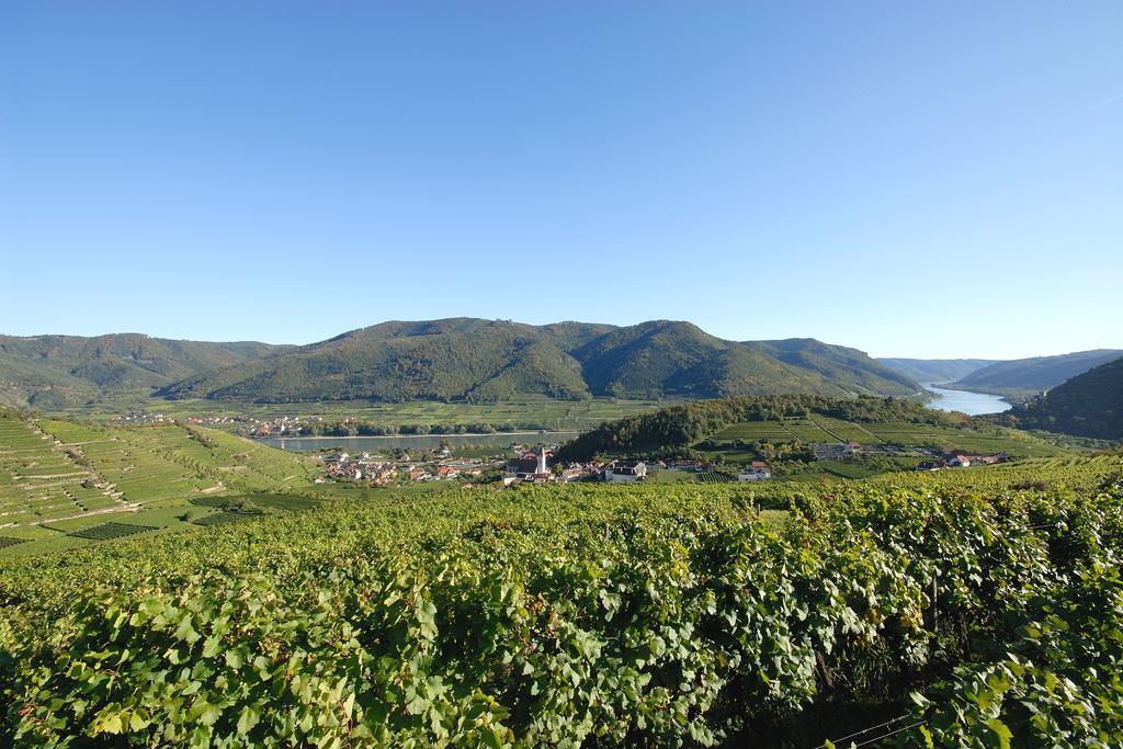 Mauritiushof Weingut Fj Gritsch